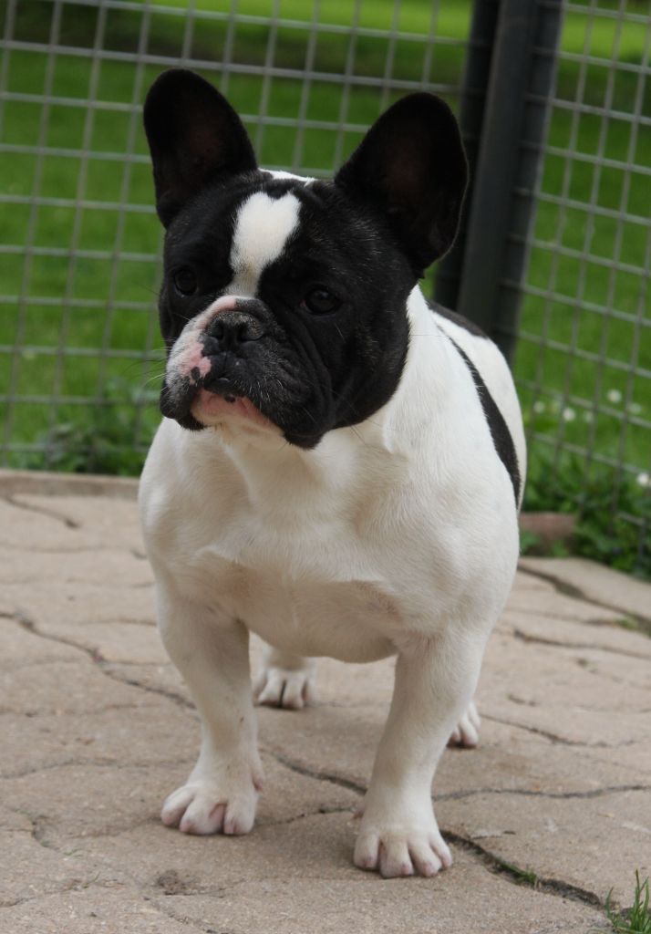 Up up up Des Terres De Romandor