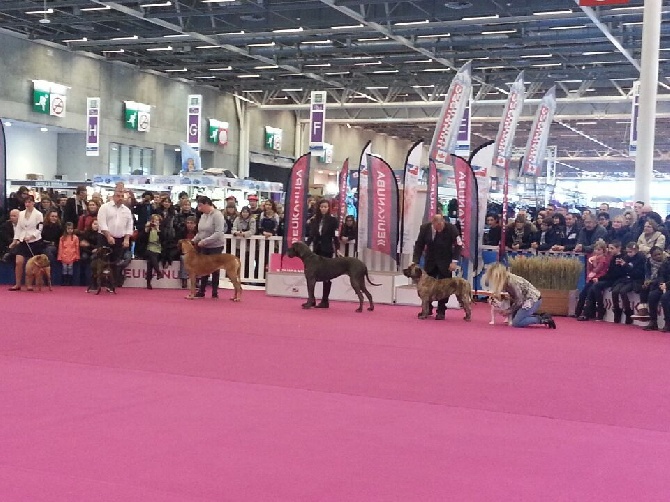 Des Terres De Romandor - Salon de L'agriculture 2015